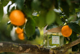 GIARDINO DEGLI ARANCI
